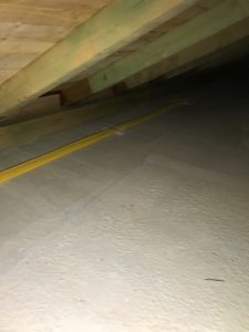 img 0357