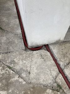 img 1637