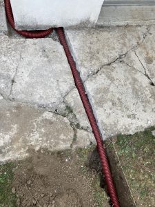 img 1638